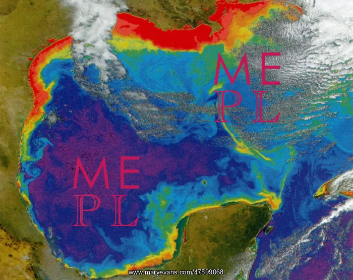 : Gulf of Mexico Dead Zone : Gulf of Mexico Dead Zone