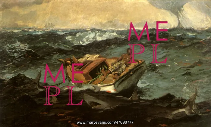 : The Gulf Stream, by Winslow Homer : The Gulf Stream, by Winslow Homer