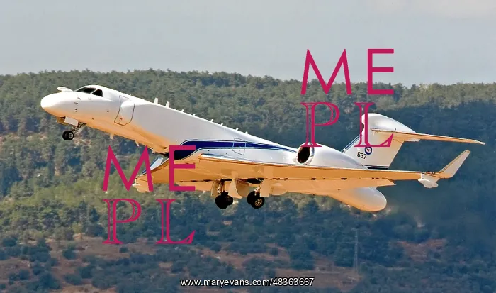 : Gulfstream Gulfstream G550 Nachshon Eitam 637 : Gulfstream Gulfstream G550 Nachshon Eitam 637