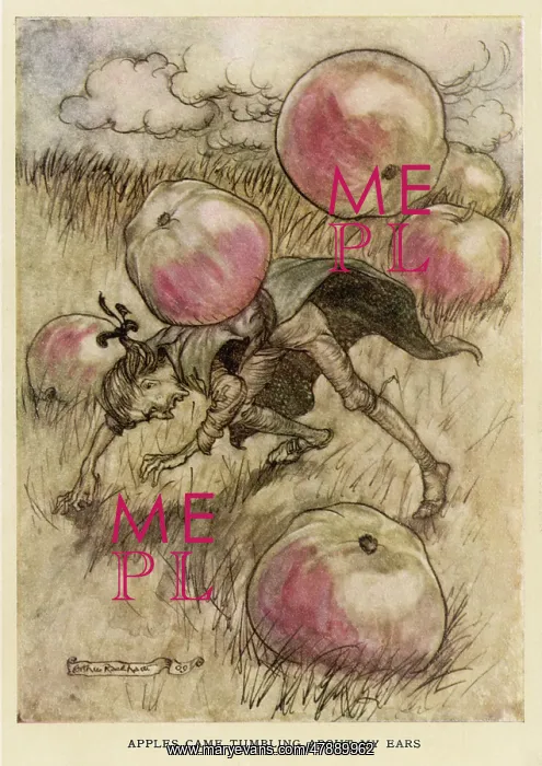 : Gulliver - the Apples : Gulliver - the Apples