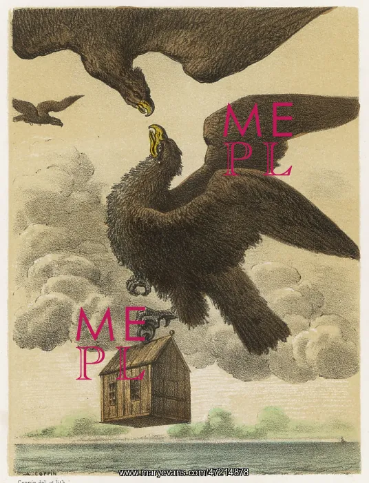 : GULLIVER / EAGLE / HOUSE : GULLIVER / EAGLE / HOUSE