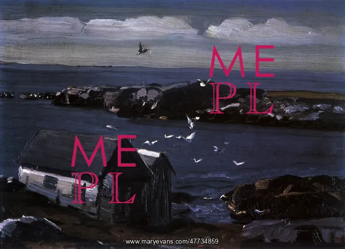 : The Gulls, Monhegan