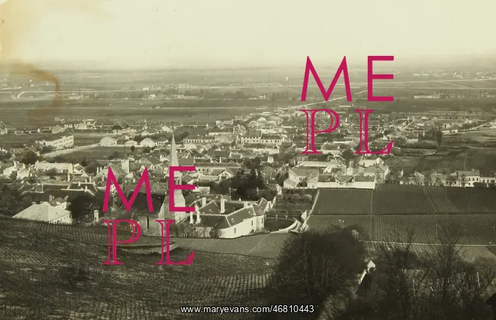 : Gumpoldskirchen : Gumpoldskirchen