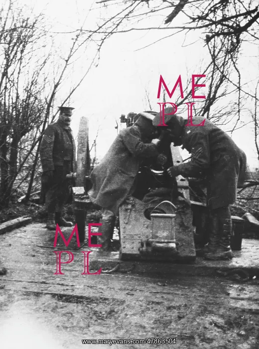 : Gun inspection 1915 : Gun inspection 1915