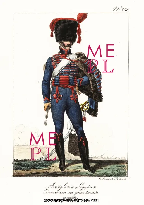 : Gunner in the Light Artillery, Napoleon's army : Gunner in the Light Artillery, Napoleon's army
