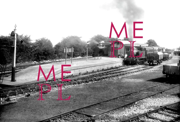  : Gunnislake, the Station 1908