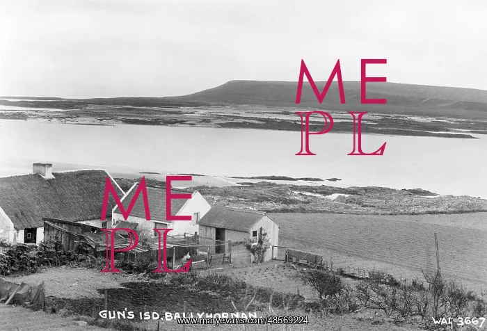 : Guns Island, Ballyhornan : Guns Island, Ballyhornan