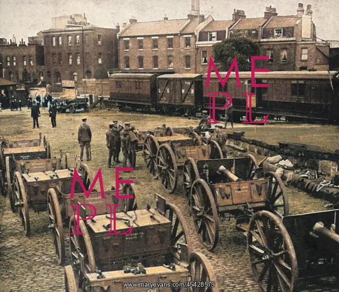 : Guns for transport : Guns for transport