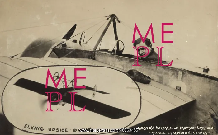 : Gustav W Hamel sitting in a Morane-Saulnier : Gustav W Hamel sitting in a Morane-Saulnier
