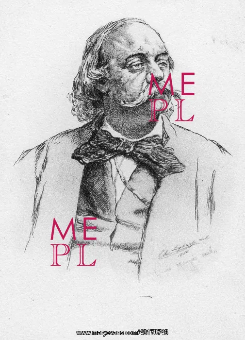 : Gustave Flaubert, around 1870 : Gustave Flaubert, around 1870