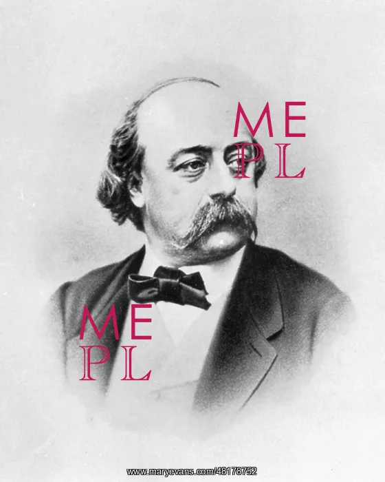 : Gustave Flaubert, around 1870 : Gustave Flaubert, around 1870