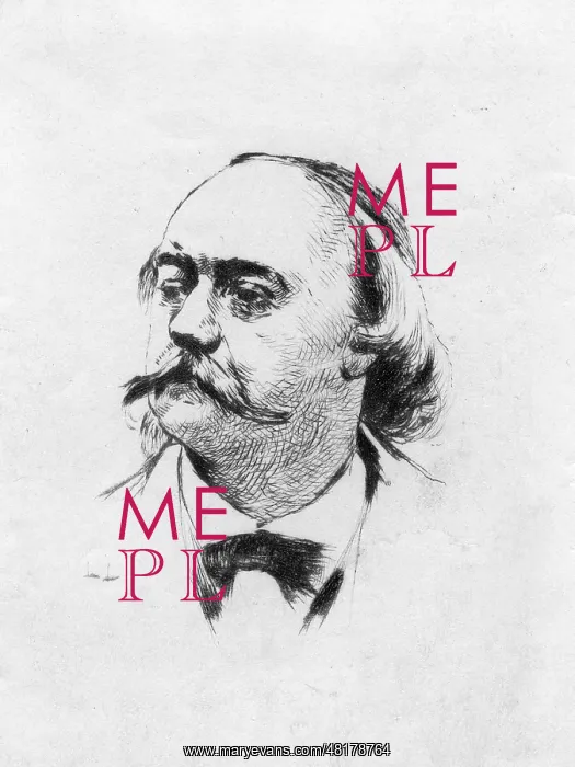 : Gustave Flaubert, around 1870 : Gustave Flaubert, around 1870