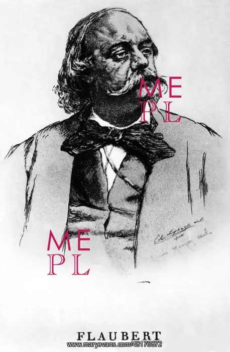 : Gustave Flaubert : Gustave Flaubert
