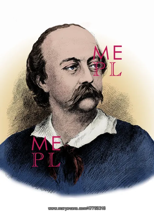: Gustave Flaubert, French Author : Gustave Flaubert, French Author