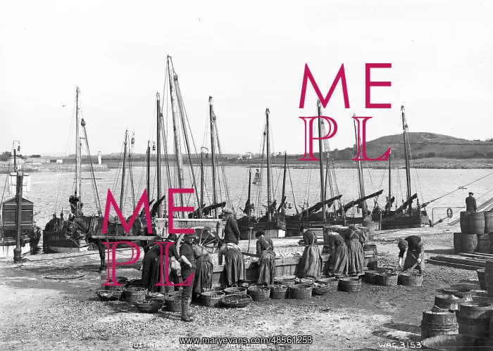 : Gutting Herrings, Ardglass : Gutting Herrings, Ardglass
