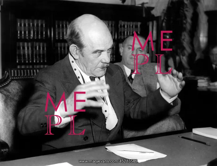 : Gutzon Borglum, famed sculptor, testifying ? : Gutzon Borglum, famed sculptor, testifying ?