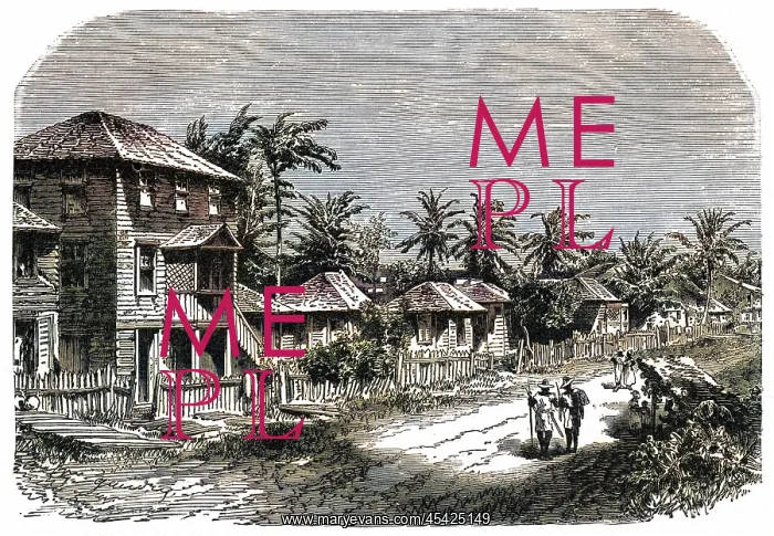 : GUYANE FRANCAISE SCENE : GUYANE FRANCAISE SCENE
