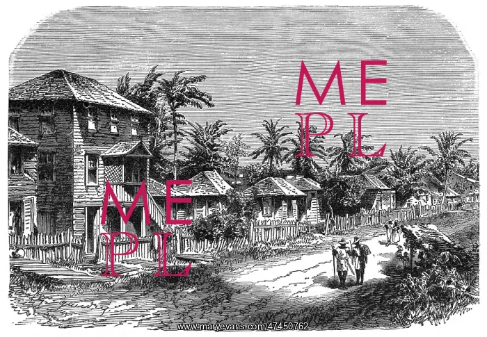 : GUYANE FRANCAISE SCENE : GUYANE FRANCAISE SCENE