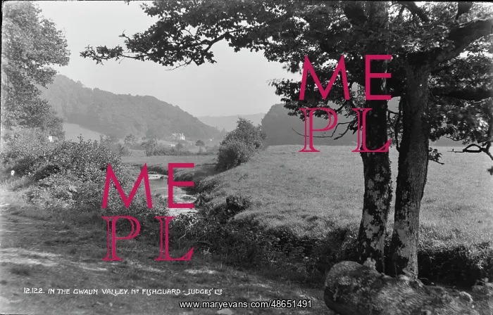 : In the Gwaun Valley : In the Gwaun Valley