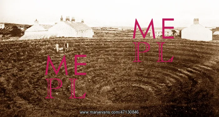  : Gwennap Pit, Redruth