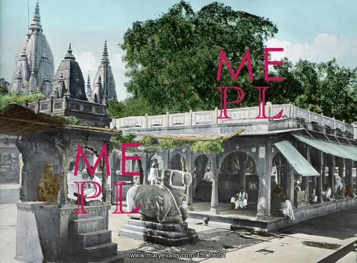 : Gyan Vapi - Kashi Vishvanath - temple - Varanasi : Gyan Vapi - Kashi Vishvanath - temple - Varanasi
