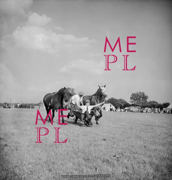 : Gymkhana. Two children leading along a pair of horses in a wheelbarrow : Gymkhana. Two children leading along a pair of horses in a wheelbarrow