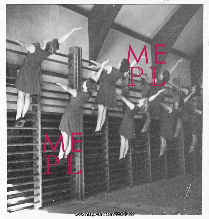 : Gymnastics : Gymnastics