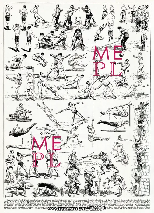 : Gymnastics : Gymnastics