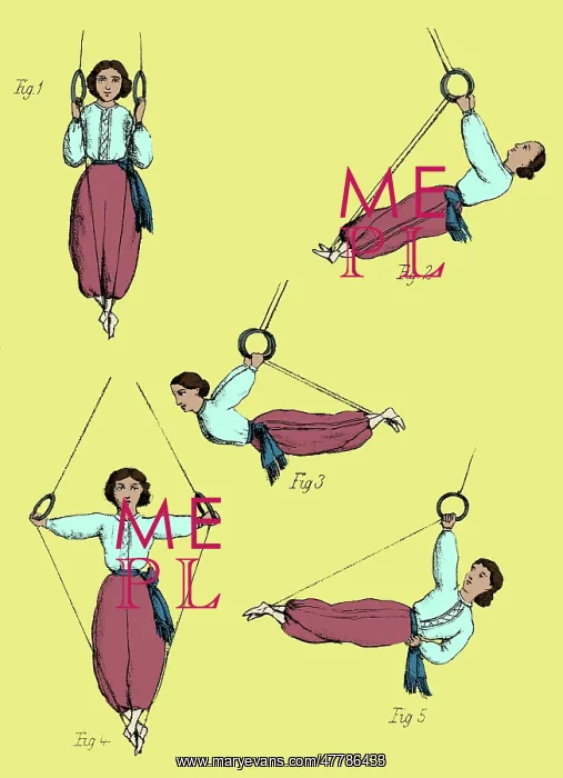 : Gymnastics for Ladies, Rings : Gymnastics for Ladies, Rings