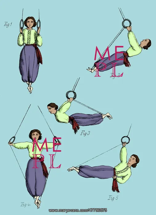: Gymnastics for Ladies, Rings : Gymnastics for Ladies, Rings