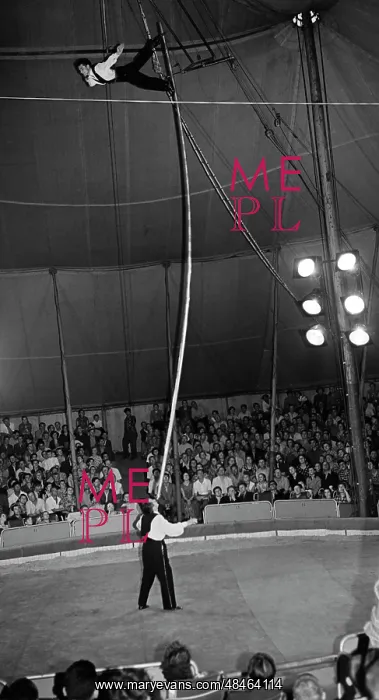 : Gymnasts the Frantsuzovs : Gymnasts the Frantsuzovs