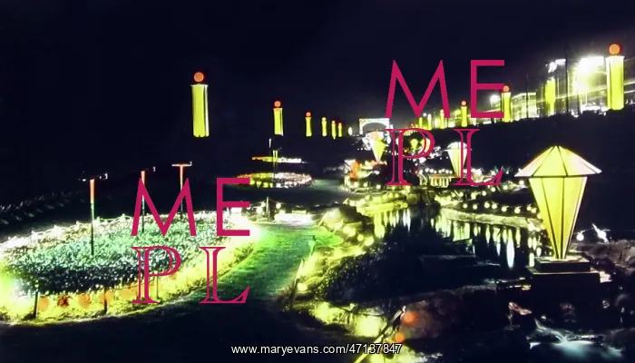  : Gynn Gardens, Blackpool Illuminations