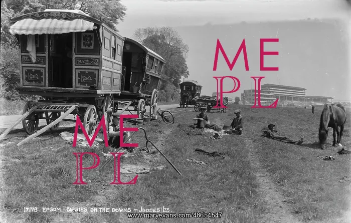 : Gypsies on the Downs : Gypsies on the Downs