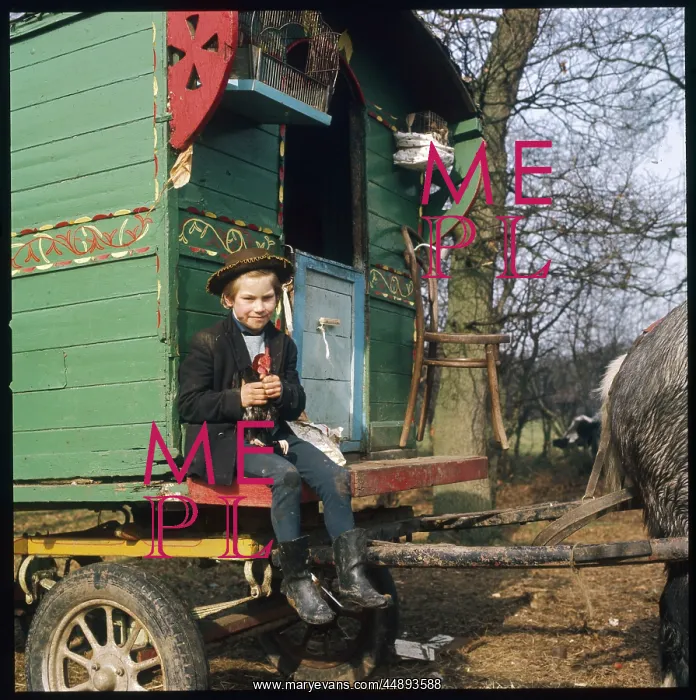 : GYPSY BOY WITH HEN 1973 : GYPSY BOY WITH HEN 1973