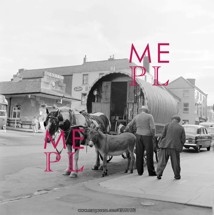 : Gypsy Caravan : Gypsy Caravan