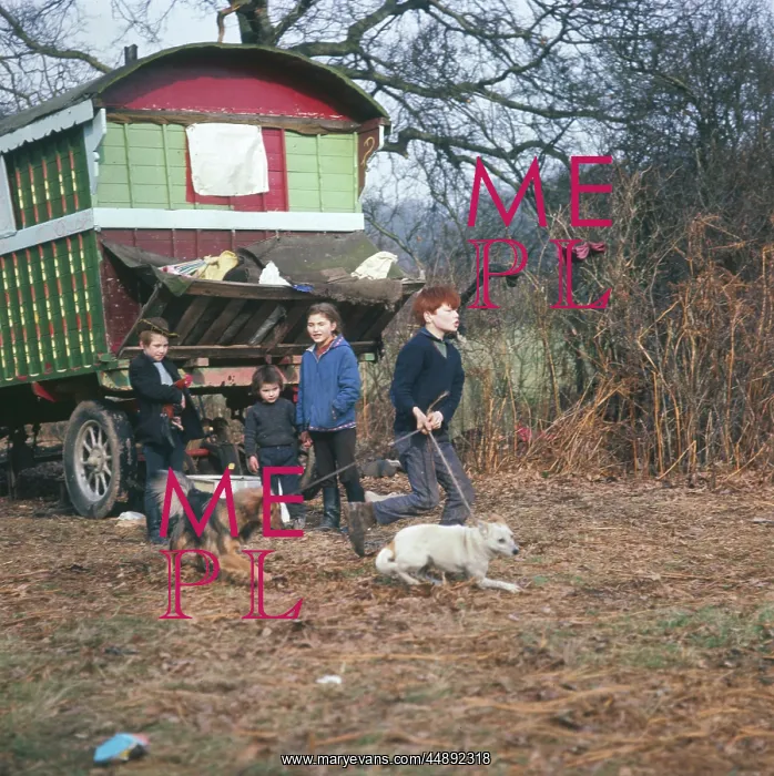 : GYPSY CHILDREN AND DOGS : GYPSY CHILDREN AND DOGS