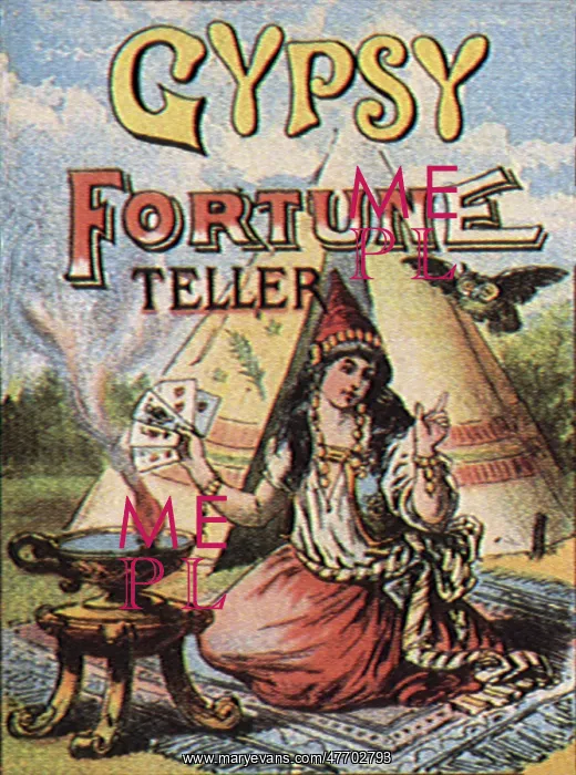  : Gypsy Fortune Teller