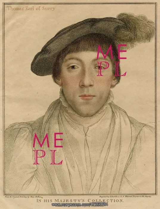 : H HOWARD / SURREY / HOLBEIN : H HOWARD / SURREY / HOLBEIN