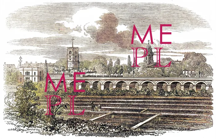  : Hackney Station and watercress plantation