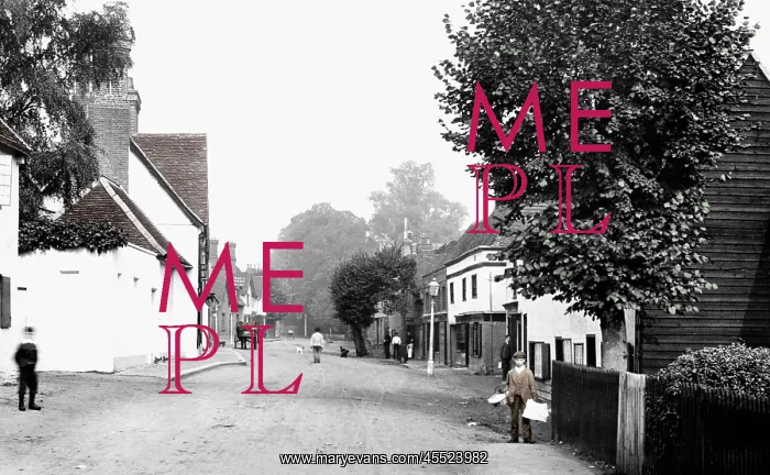  : Much Hadham, Main Street 1899