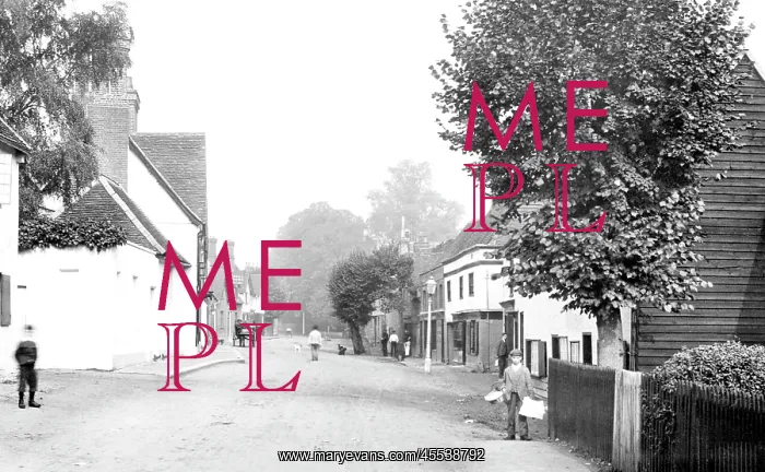  : Much Hadham, Main Street 1899