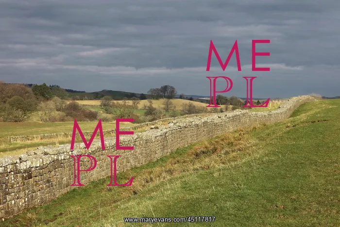  : Hadrian's Wall, Cumbria, England