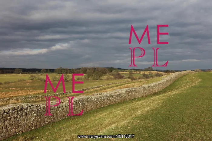 : Hadrian's Wall, Cumbria, England : Hadrian's Wall, Cumbria, England