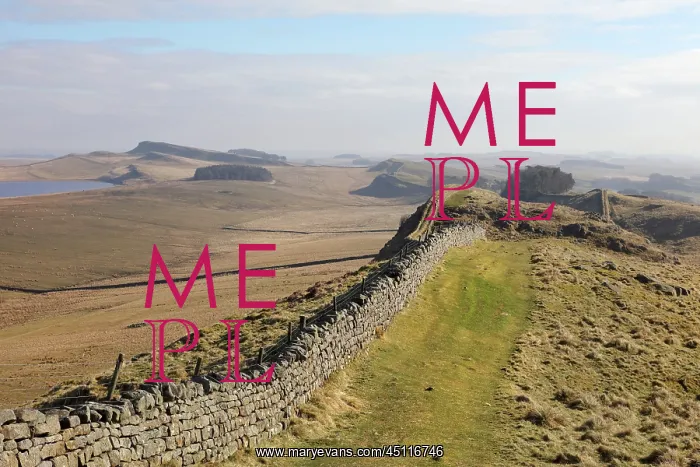  : Hadrian's Wall, Northumberland, England
