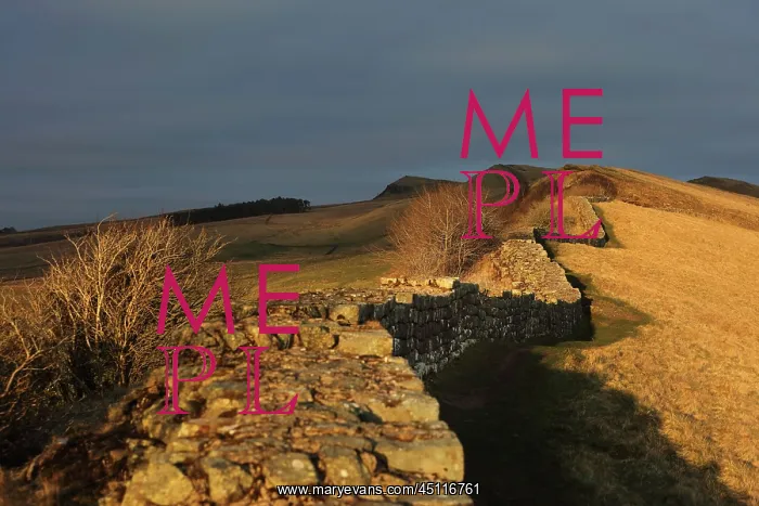  : Hadrian's Wall, Northumberland, England