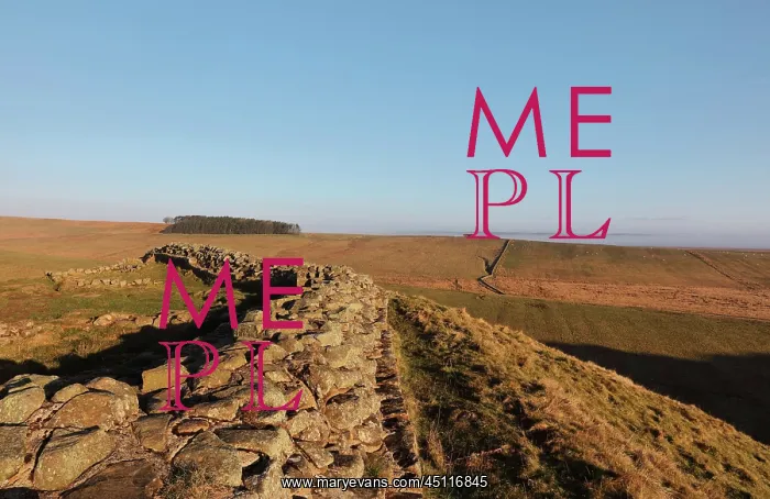  : Hadrian's Wall, Northumberland, England