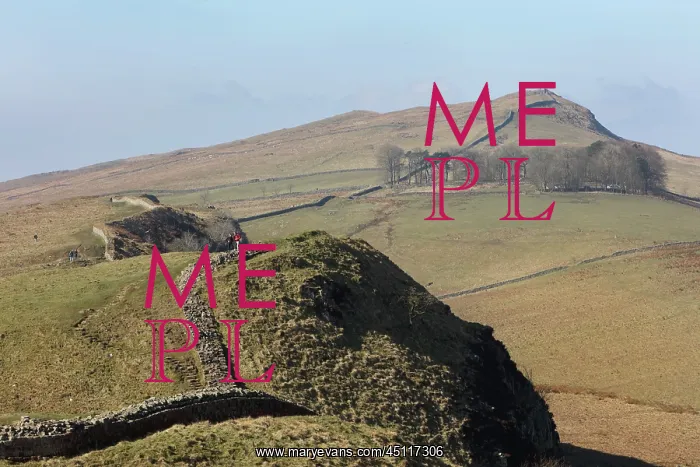  : Hadrian's Wall, Northumberland, England