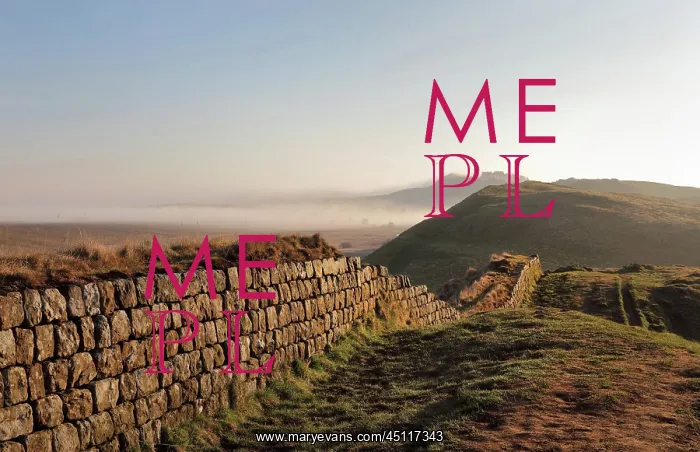  : Hadrian's Wall, Northumberland, England