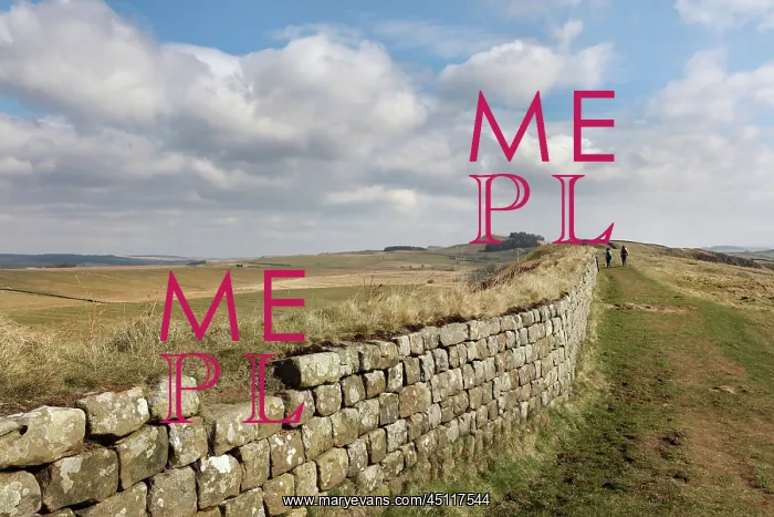 : Hadrian's Wall, Northumberland, England