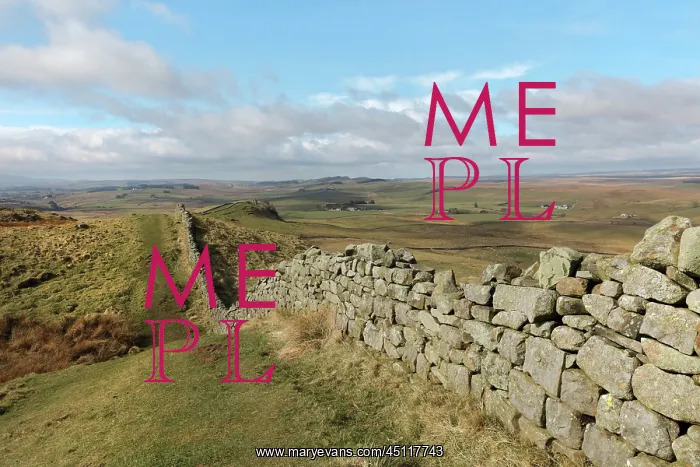  : Hadrian's Wall, Northumberland, England